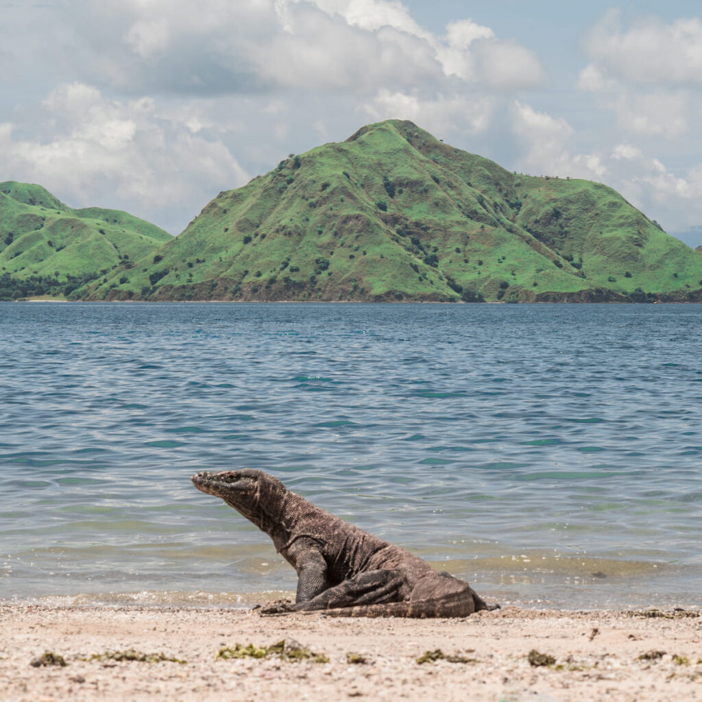 Komodo Island Is The New Gateway To Indonesia Labuan Bajo Tourism