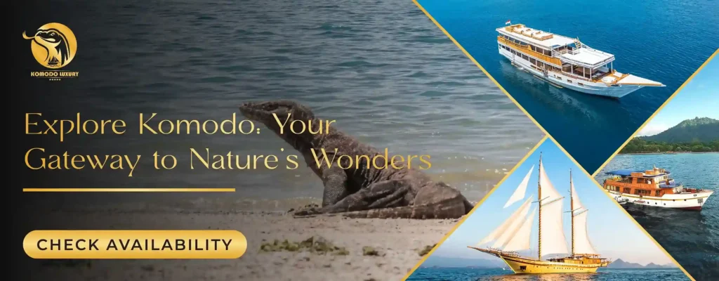 Banner Komodo Island Tour Package | Luxury Boat Tour | Komodo Tour | Komodo Luxury