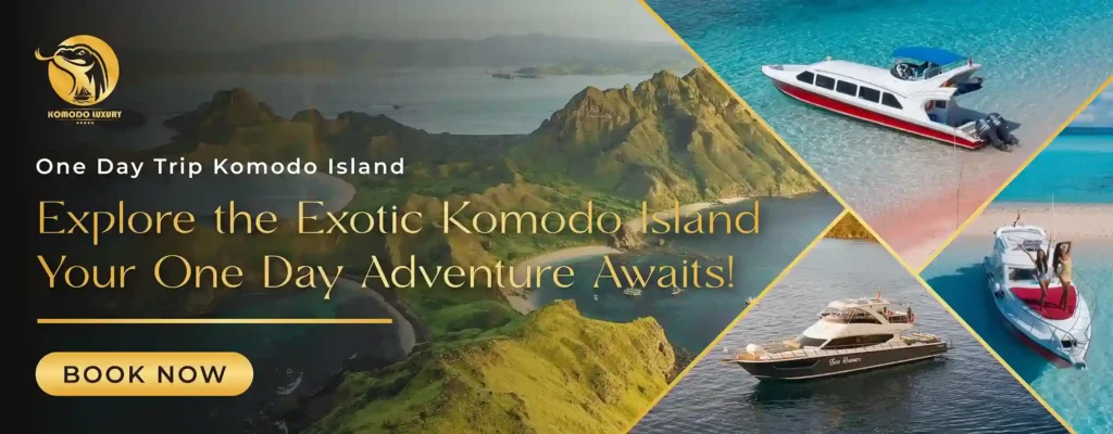 Banner One Day Trip Komodo Island Tour | Komodo Luxury