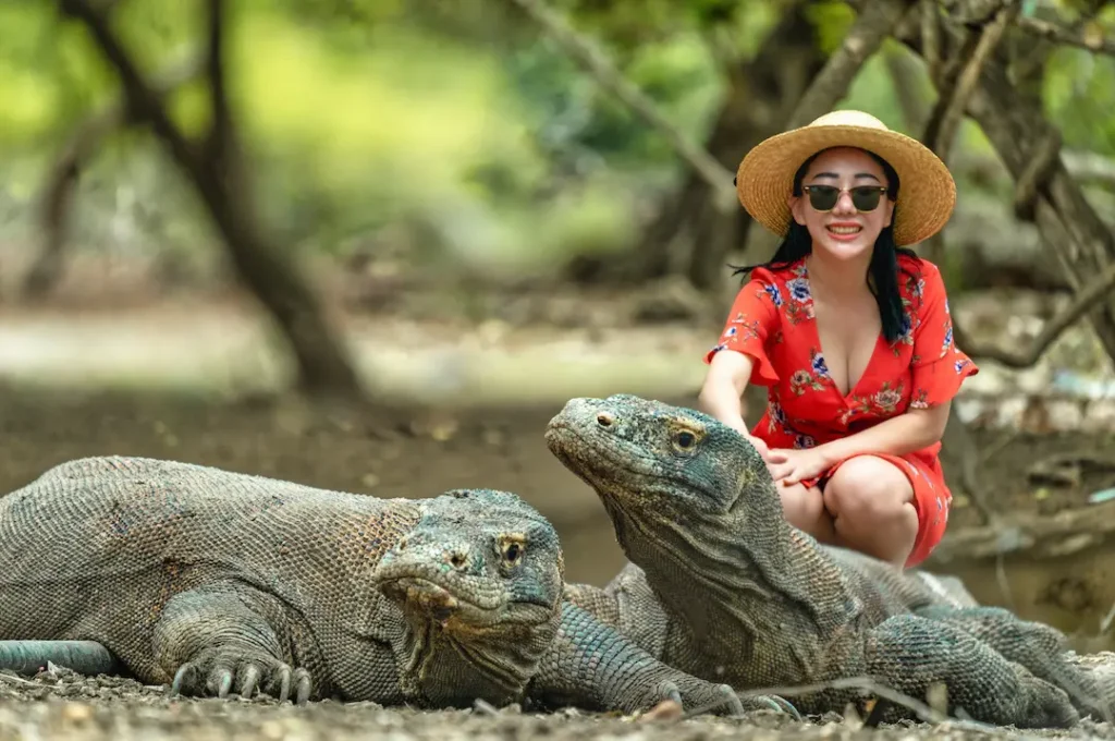 Komodo Dragon on National Park - KomodoLuxury