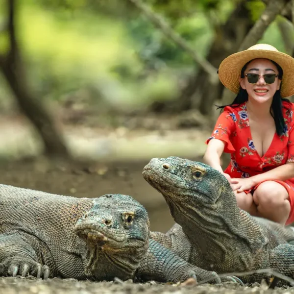 Best Place to See Komodo Dragons
