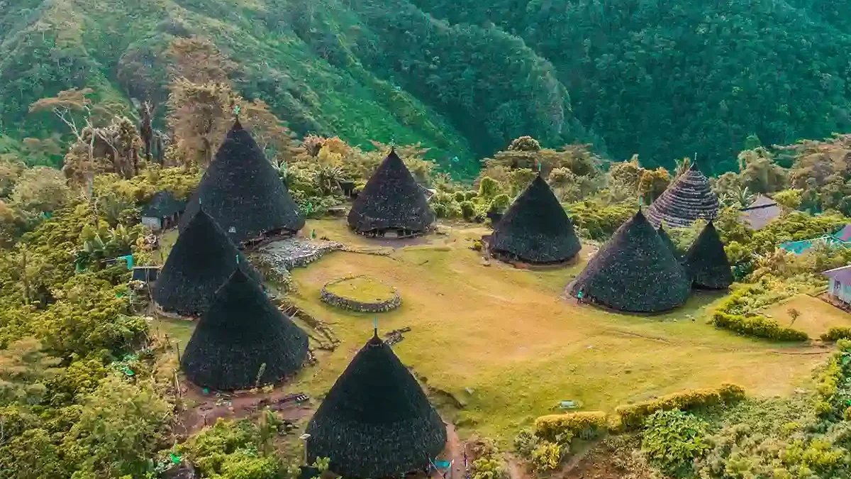 Wae Rebo: Keindahan Desa Tradisional di Pegunungan - Menikmati pemandangan spektakuler Wae Rebo