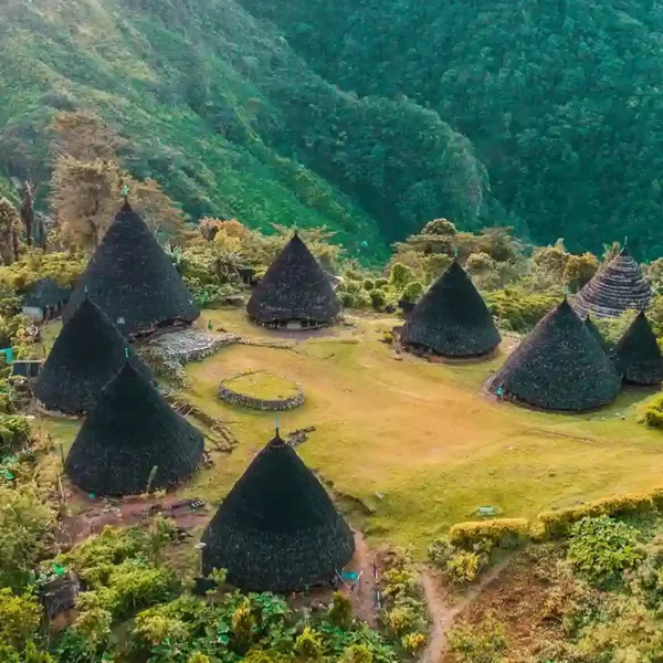 Wae Rebo Traditional Village of Flores, What’s Interesting?