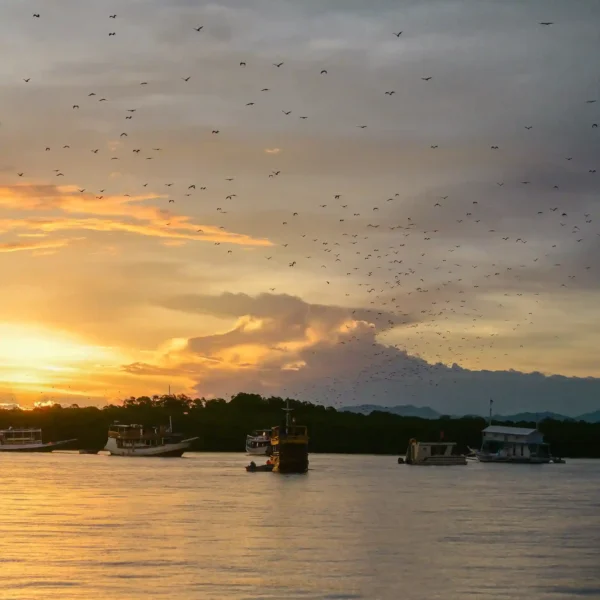 Kalong Island: The Bat Island with Wonderful Sunset