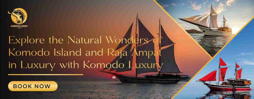 Banner boat tour to Komodo Island and Raja Ampat