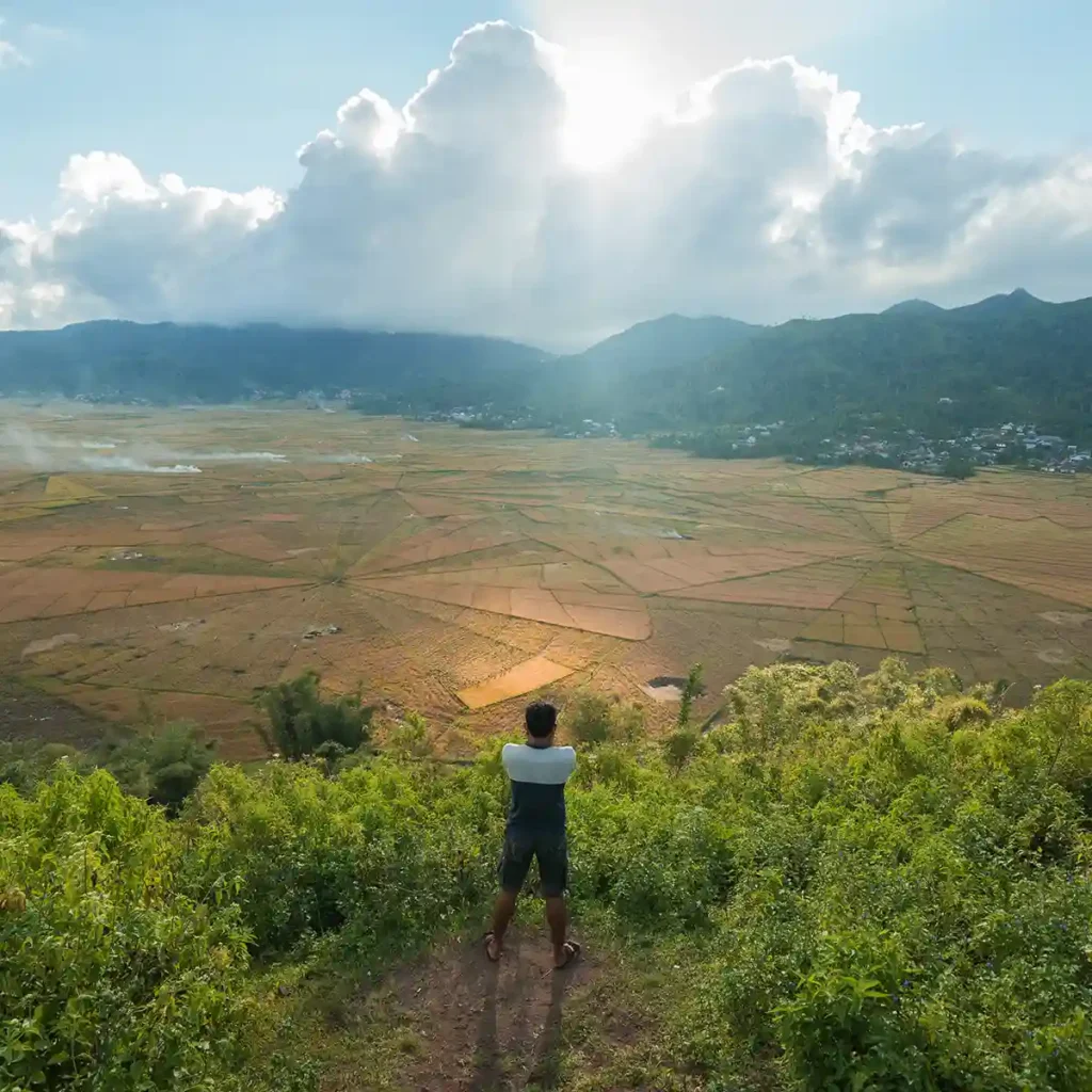 Cancar Spider Web Rice Fields