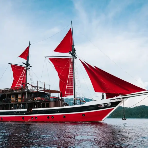 List Raja Ampat Boat Charter by Komodo Luxury
