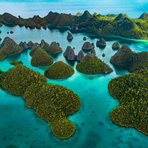 How to Trip from Bali to Raja Ampat