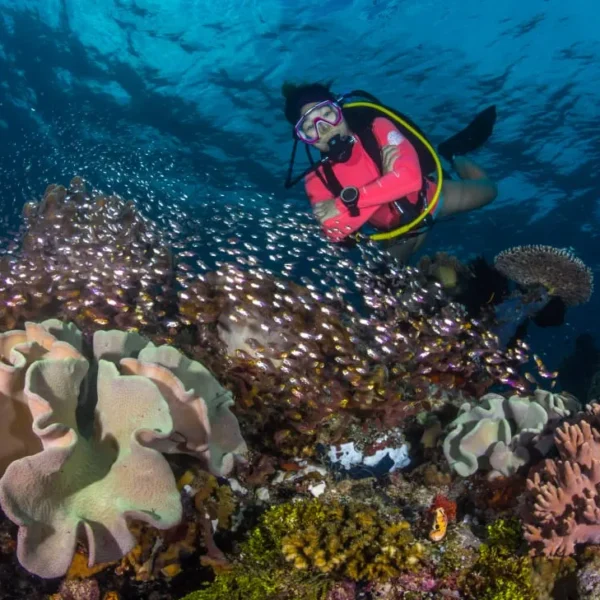 Unveiling Raja Ampat: 6 Best Place Snorkeling in Raja Ampat