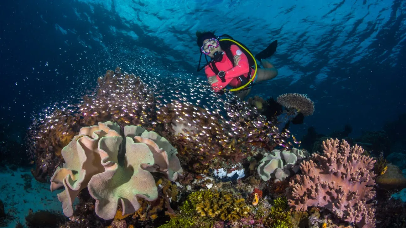 Underwater Raja Ampat - KomodoLuxury