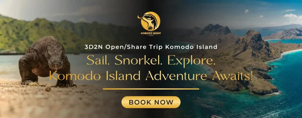 Banner Open/Share Trip Komodo Island