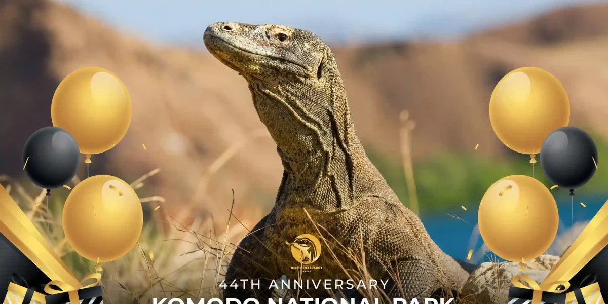 Komodo National Park 44th Anniversary