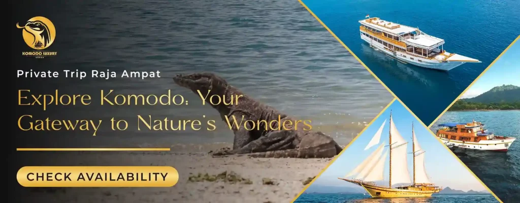 Private Komodo Tour Banner