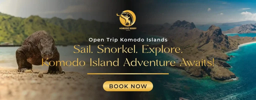 Banner Open Trip Komodo Tour 