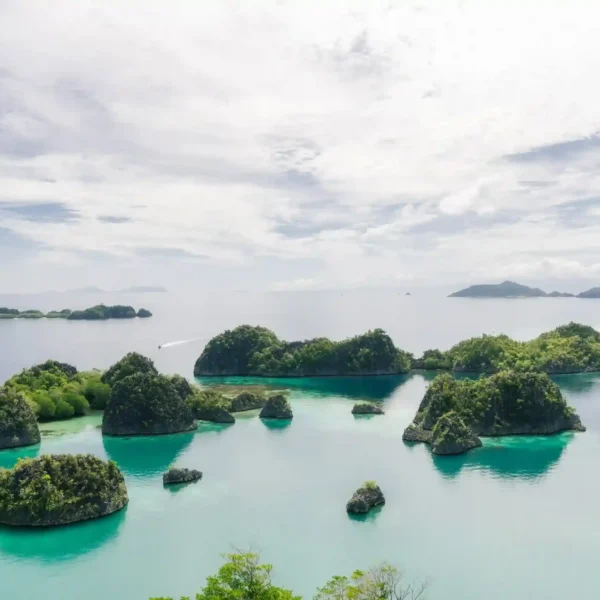 How to Get to Raja Ampat from Malaysia