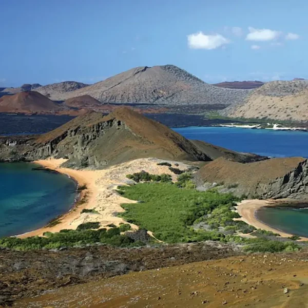 Ballestas Islands vs Galapagos: Compare and Decide