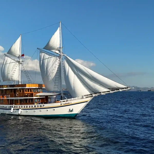 The 11 Top Rated Boats for Komodo Tour 3D2N Share Trip Recommended by Komodo Luxury