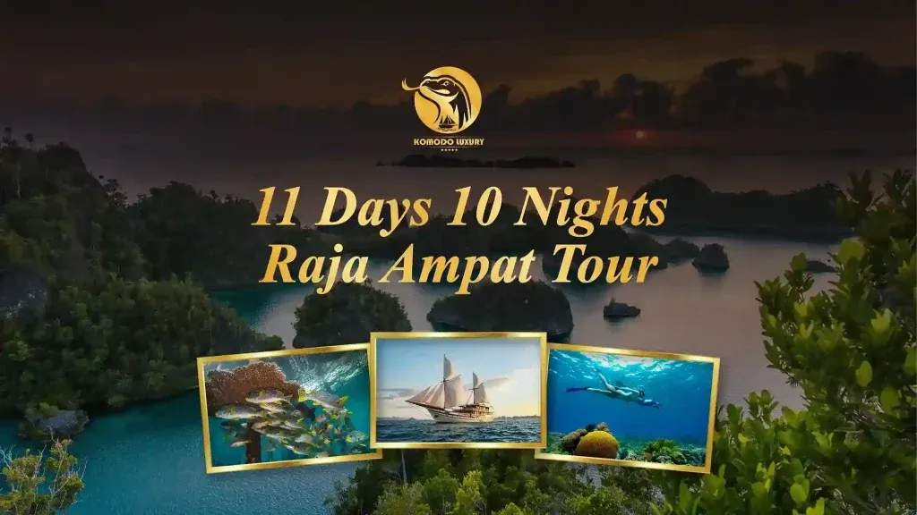 Banner 11 days 10 nights Raja Ampat Tour Itinerary - Komodo Luxury