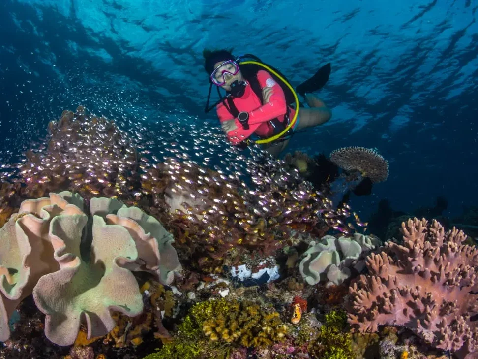 Underwater Raja Ampat - KomodoLuxury