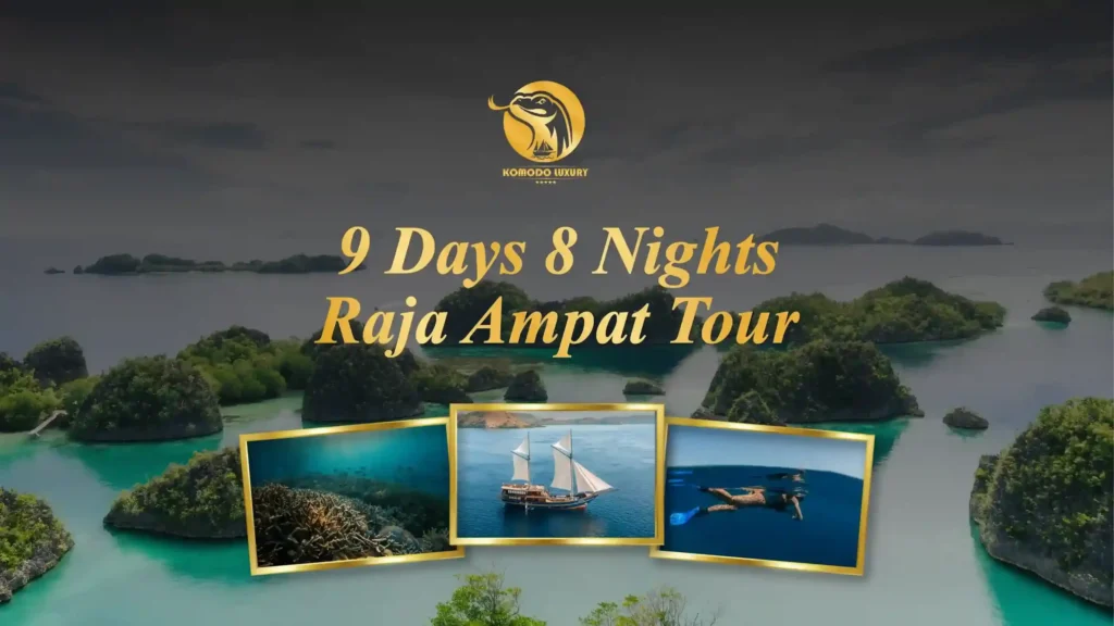 9 days 8 nights Raja Ampat Tour Itinerary - Komodo Luxury