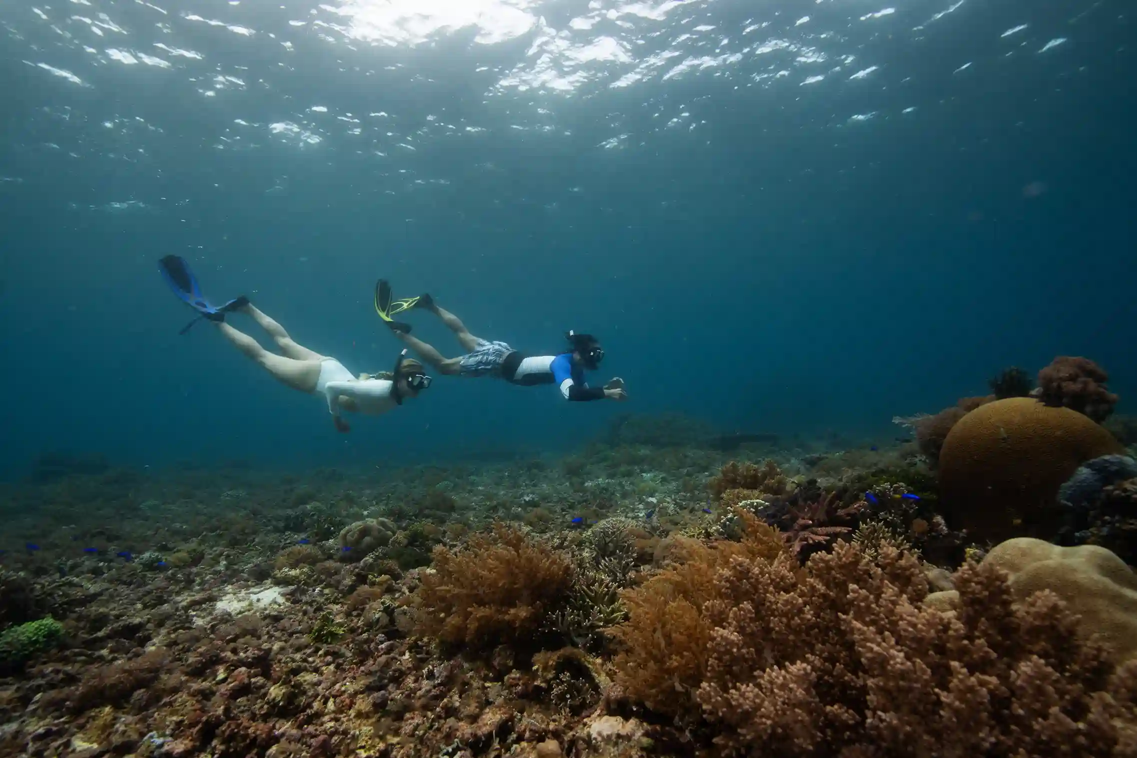 Diving in Raja Ampat