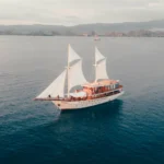 Elbark Yacht Cruise Phinisi Charter by Komodo Luxury