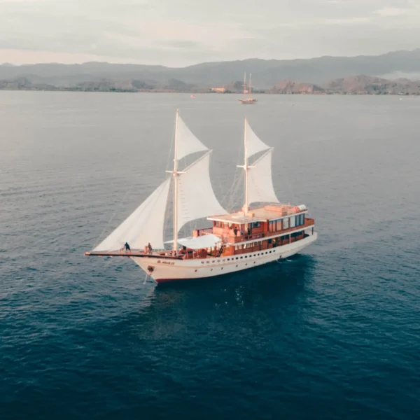 Elbark Yacht Cruise Phinisi Charter by Komodo Luxury