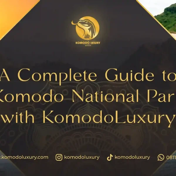 Komodo Boat Tour: Complete Guide to Komodo National Park with KomodoLuxury