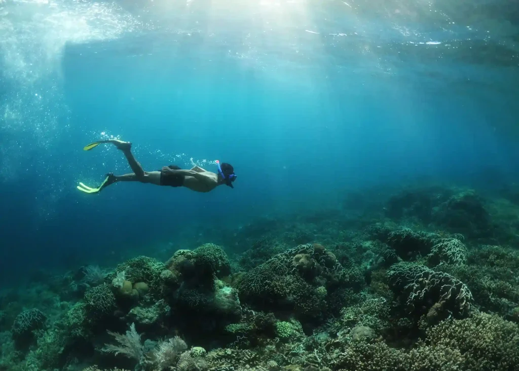 Snorkeling in Komodo Island