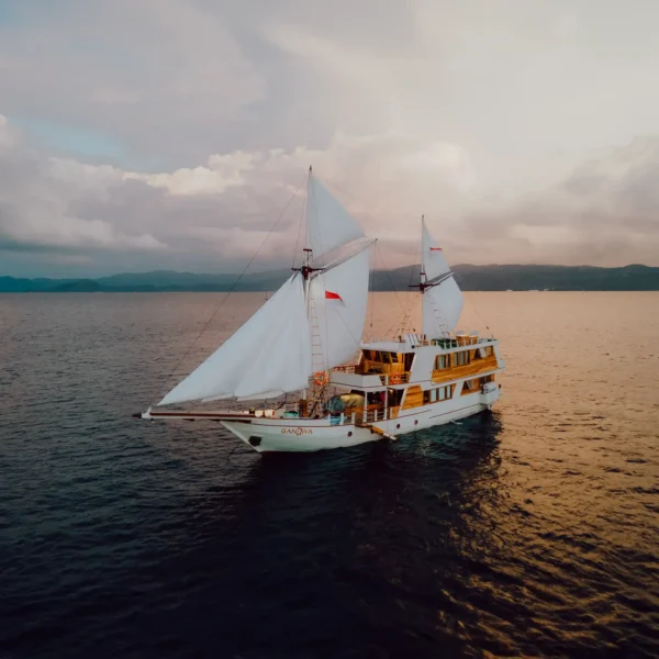 Gandiva Yacht Cruise Phinisi - KomodoLuxury