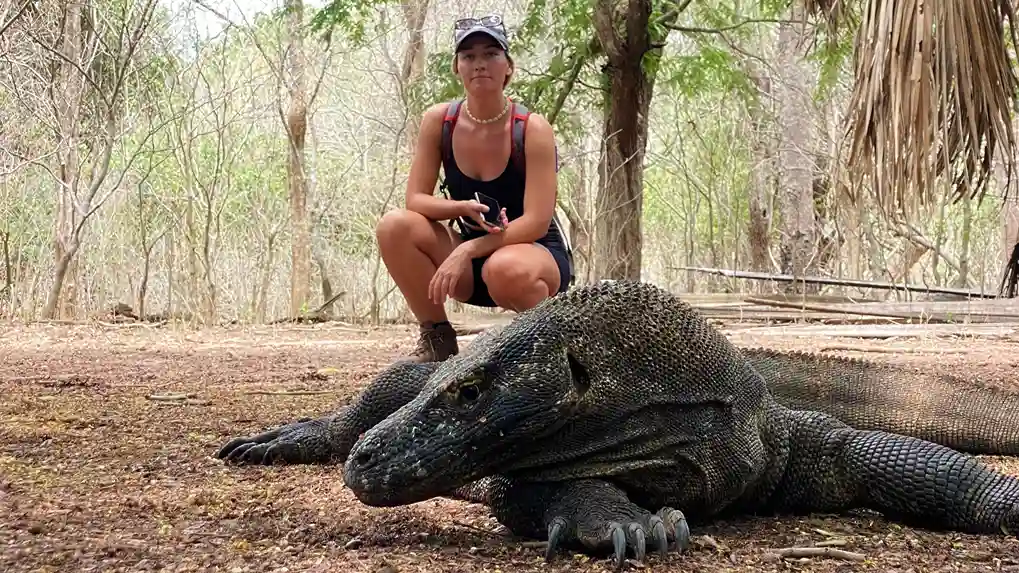 Luxury Travel in Komodo Island - See Komodo Dragon in Komodo National Park