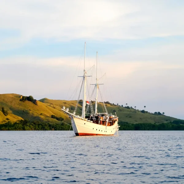 Jakare Yacht Cruise Phinisi Charter by Komodo Luxury