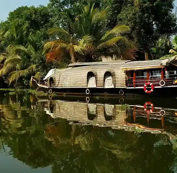 Comparing Kerala Backwaters and Komodo National Park Beaches