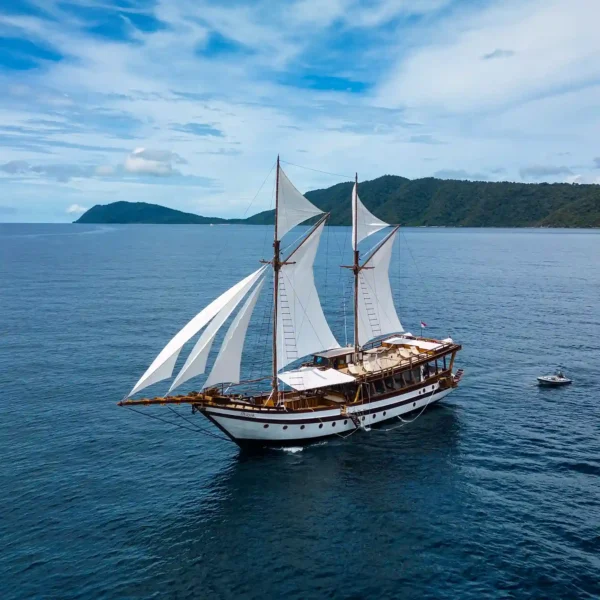 Majik Yacht Cruise Phinisi Charter by Komodo Luxury