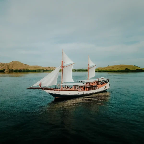Navila Yacht Cruise Phinisi - KomodoLuxury
