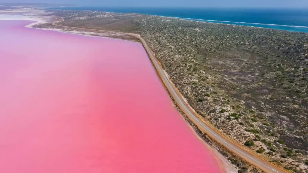 Hutt Lagoon Pink Lake vs Pink Beach Komodo Island