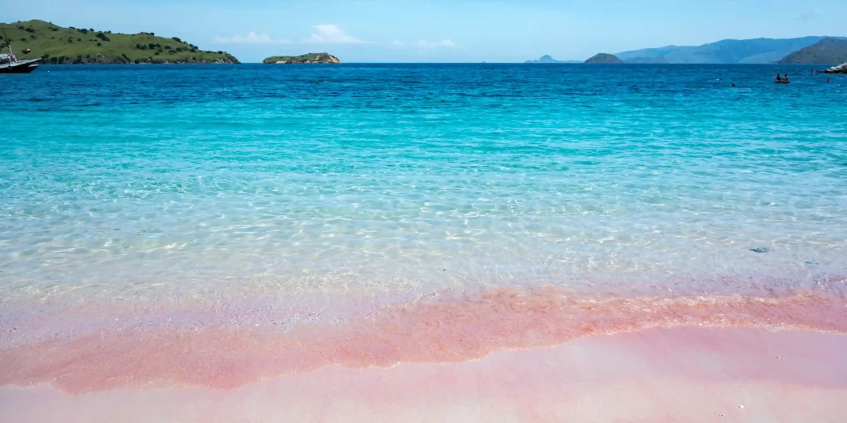 Tropical Beach Pink Beach Komodo National Park