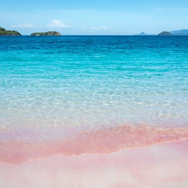 Porthminster Beach or Pink Beach Komodo: Which Tropical Beach Suits Your Dream Vacation?