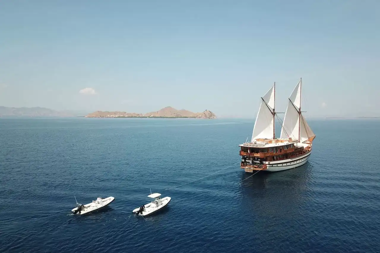 Komodo Island Sailing | Komodo Dragon Tour | Komodo Luxury