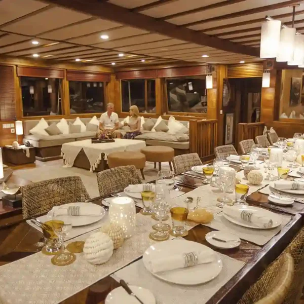 Dinner Cruise Seine vs. Komodo: Romantic Paris or Adventurous Komodo?