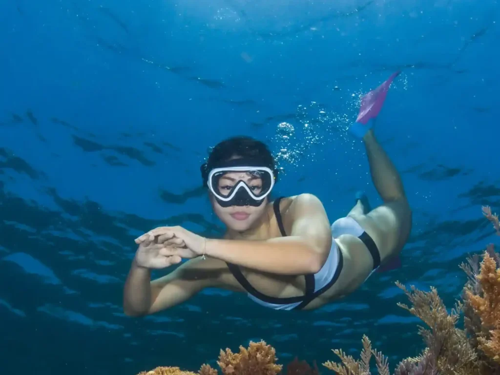 Snorkeling & Diving in Komodo Island, Labuan Bajo