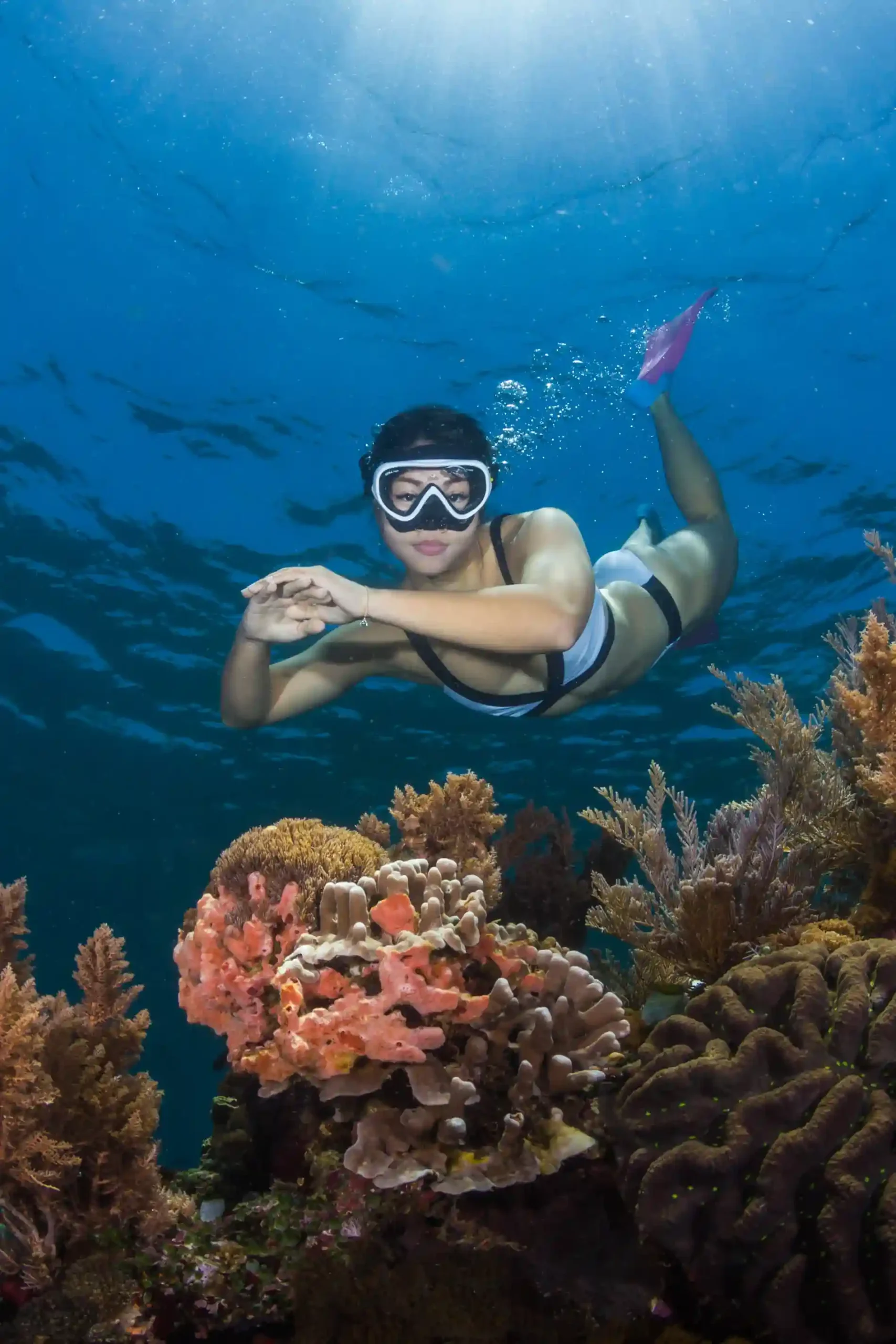 Snorkeling & Diving in Komodo Island, Labuan Bajo