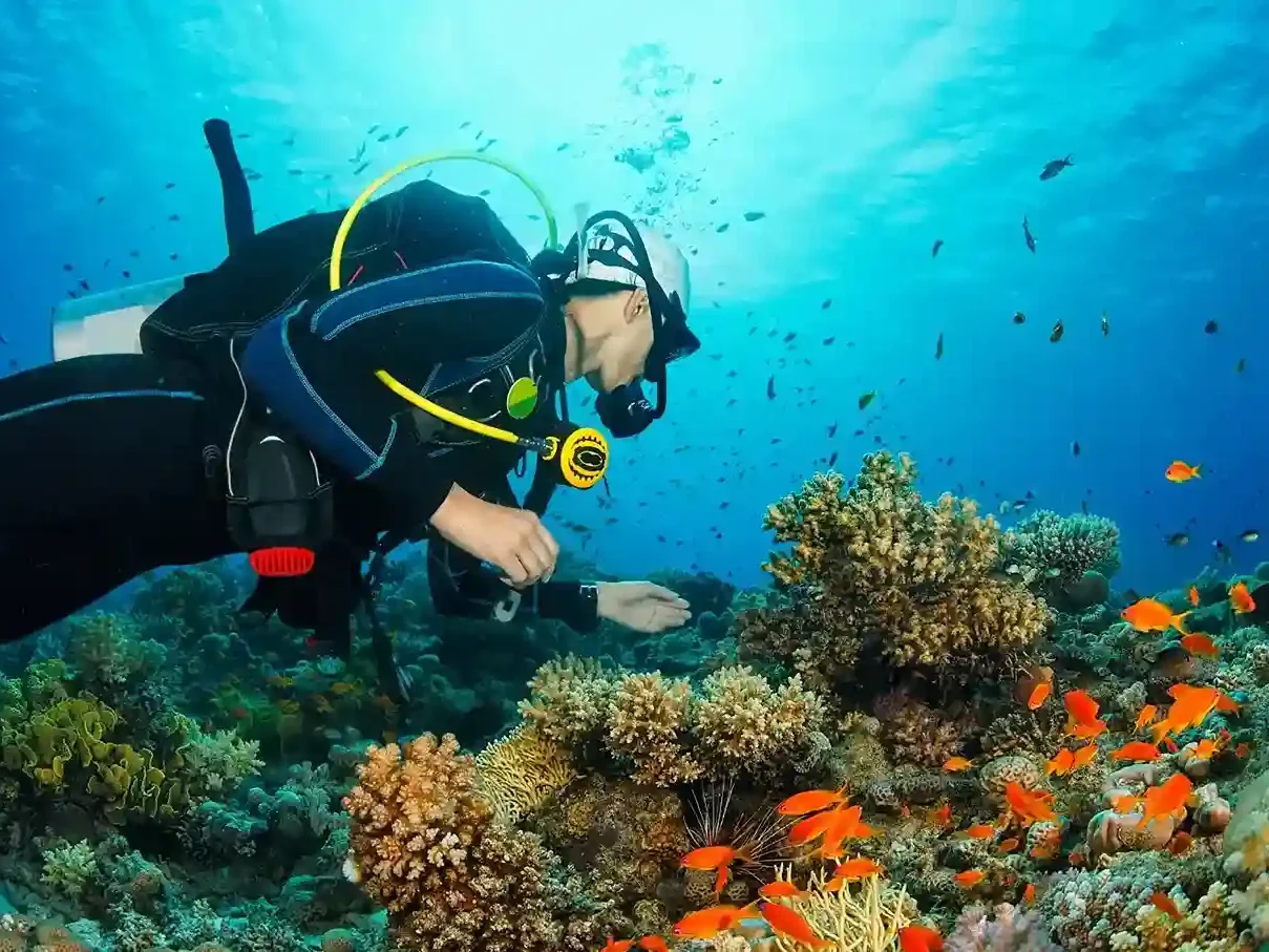 Diver in Coral Reef
