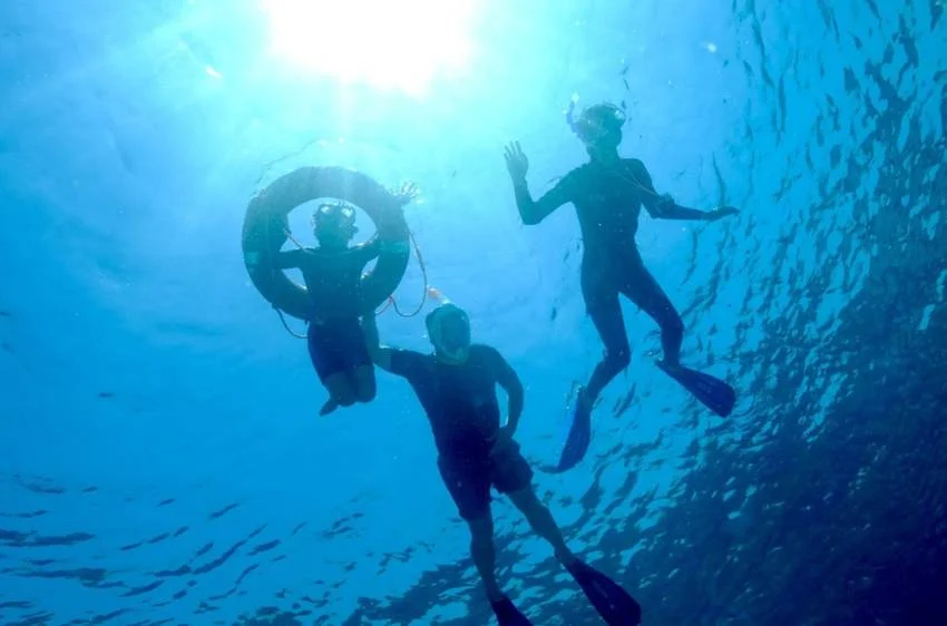 Jakare Diving - Komodo Luxury