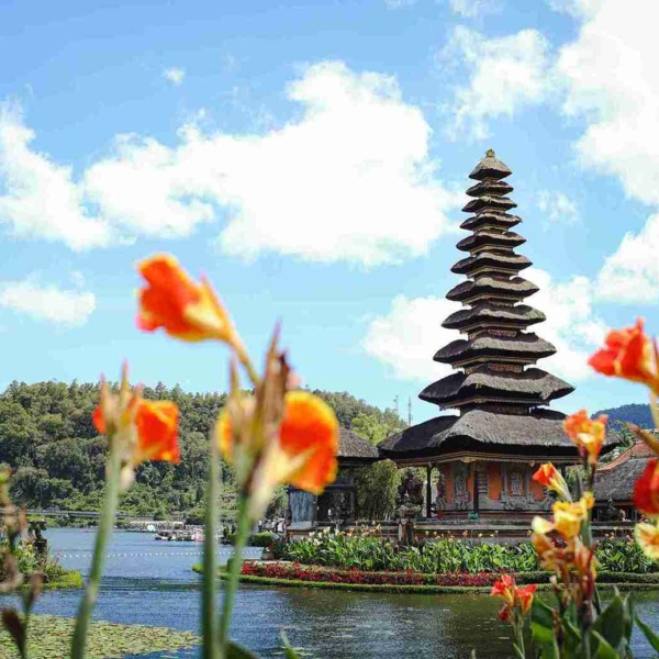 The Top 11 Ecotourism Destinations in Bali 2024