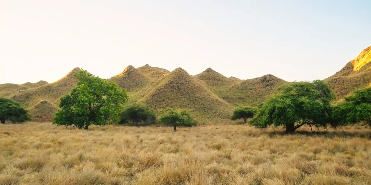 Tropical Paradise in Komodo National Park Gili Lawa