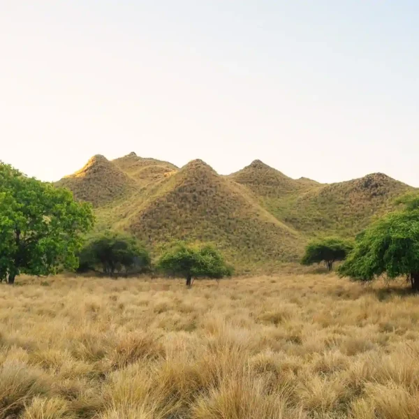 Hawaii vs. Komodo National Park: Which Tropical Paradise Is Right for Your Next Adventure?