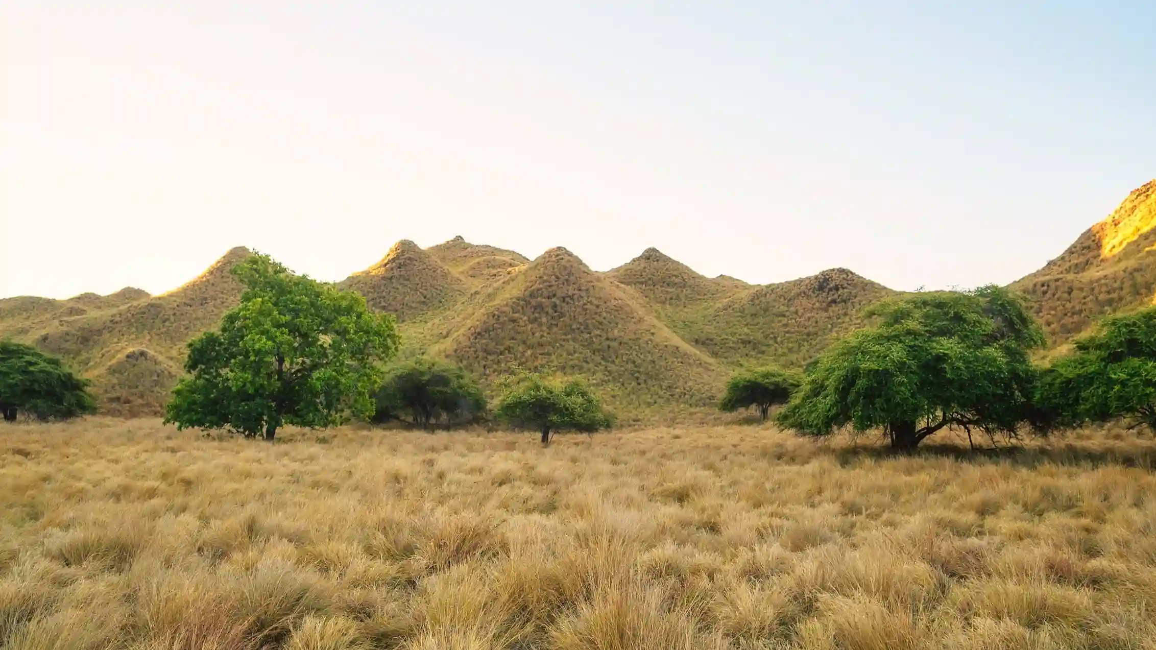 Tropical Paradise in Komodo National Park Gili Lawa