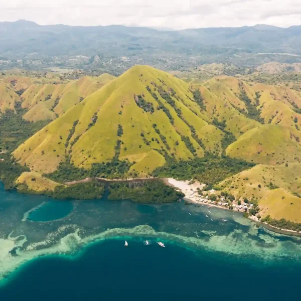 From Surabaya to Komodo: A Journey to Discover the World’s Largest Lizards