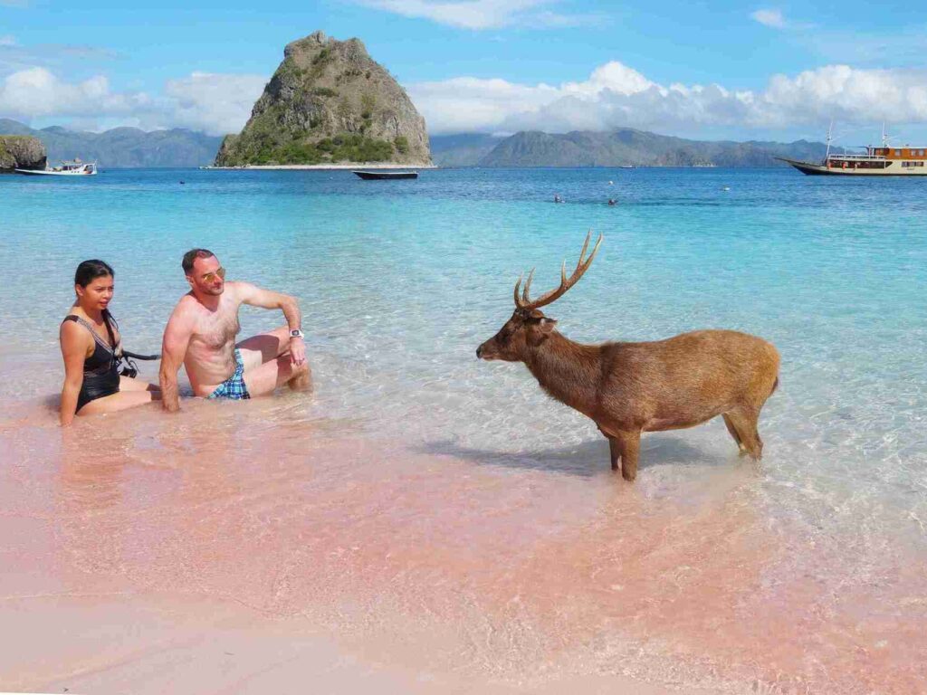 Beautiful Pink Beach, Labuan Bajo